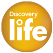 Discovery Life