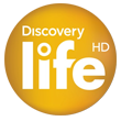 Discovery Life HD