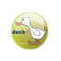 Duck TV